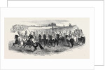 Grand Review in Hyde Park by Anonymous