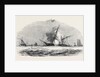 The Explosion by Anonymous