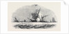 The Explosion by Anonymous