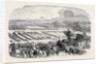 The Cattle Show, Portswood. by Anonymous