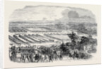 The Cattle Show, Portswood. by Anonymous