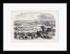 The Cattle Show, Portswood. by Anonymous