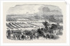 The Cattle Show, Portswood. by Anonymous
