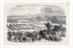 The Cattle Show, Portswood. by Anonymous