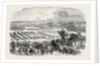 The Cattle Show, Portswood. by Anonymous