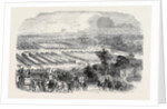 The Cattle Show, Portswood. by Anonymous