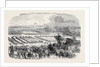The Cattle Show, Portswood. by Anonymous