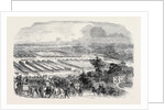 The Cattle Show, Portswood. by Anonymous