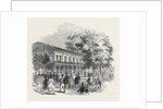Victoria Archery Rooms, the Council Dinner by Anonymous