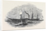 The City of London Aberdeen Steamship by Anonymous