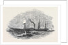The City of London Aberdeen Steamship by Anonymous