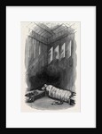 Imprisonment of Mr. Pritchard by Anonymous