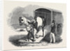 Race-Horse Van by Anonymous