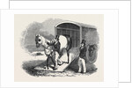 Race-Horse Van by Anonymous
