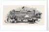 Goodwood House, Scene in the Park by Anonymous