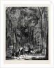 Road Through Goodwood Park. by Anonymous