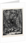 Road Through Goodwood Park. by Anonymous