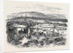Grand View of the Procession, the Burns Festival by Anonymous