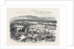 Grand View of the Procession, the Burns Festival by Anonymous