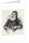 Portrait of the Late Pacha of Egypt by Anonymous
