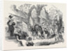 Procession of Shepherds by Anonymous