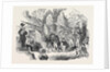 Procession of Shepherds by Anonymous