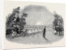 Scene from the Burlesque of Aladdin; or the Wonderful Lamp, at the Lyceum Theatre by Anonymous