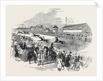 St, Wilfrid Races, Ripon by Anonymous