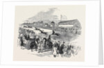 St, Wilfrid Races, Ripon by Anonymous