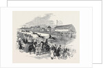 St, Wilfrid Races, Ripon by Anonymous