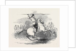 The Tartar Soldier, in Hyde Park by Anonymous