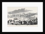 Reading Races by Anonymous