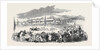 Reading Races by Anonymous