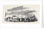 Reading Races by Anonymous