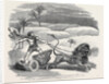 Carter's Lion Chariot Feat by Anonymous