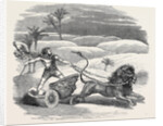Carter's Lion Chariot Feat by Anonymous