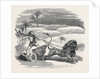 Carter's Lion Chariot Feat by Anonymous