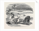 Carter's Lion Chariot Feat by Anonymous