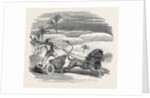 Carter's Lion Chariot Feat by Anonymous