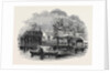 Receiving House of the Royal Humane Society by Anonymous
