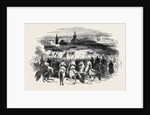Review of Troops at Morocco by Anonymous