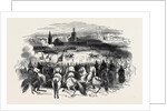 Review of Troops at Morocco by Anonymous