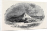 The Island of Ichaboe by Anonymous