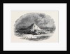 The Island of Ichaboe by Anonymous