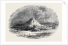 The Island of Ichaboe by Anonymous