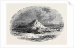 The Island of Ichaboe by Anonymous