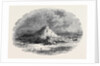The Island of Ichaboe by Anonymous