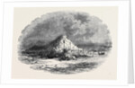 The Island of Ichaboe by Anonymous
