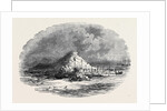 The Island of Ichaboe by Anonymous