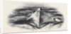 General View of the Pyramids of Jizeh by Anonymous